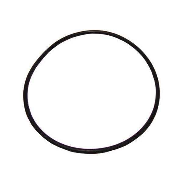 Ikelite O-ring for DS125/160 battery