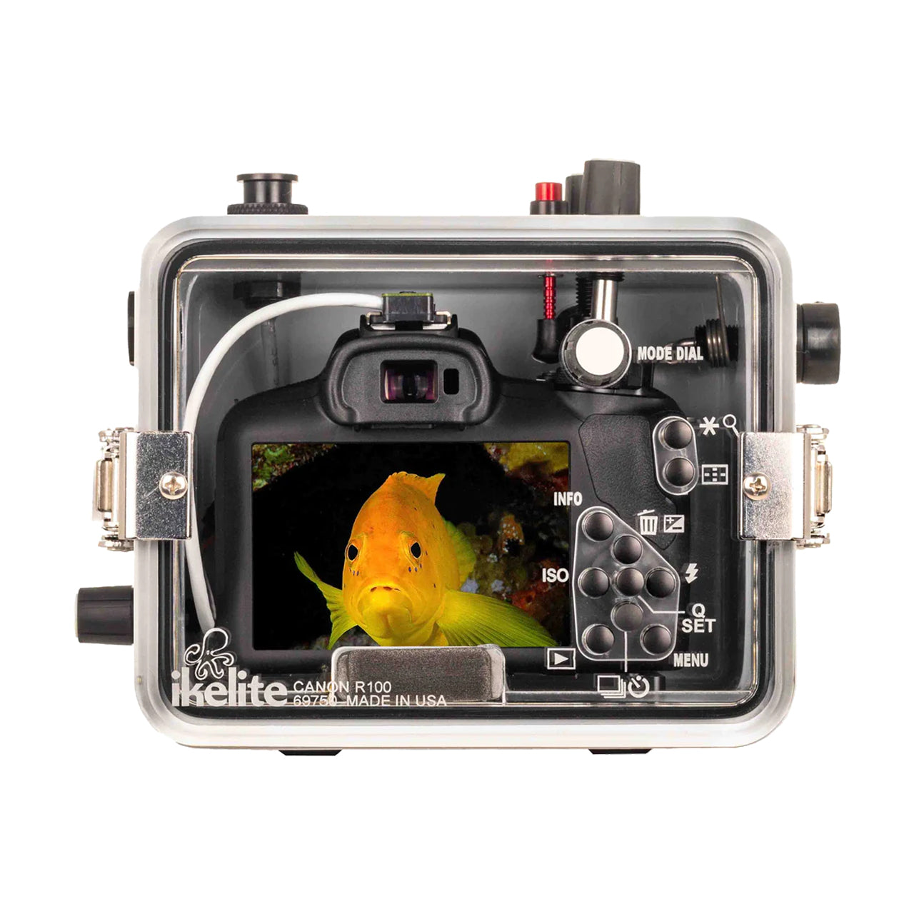 Ikelite Underwater Housing Canon EOS R100